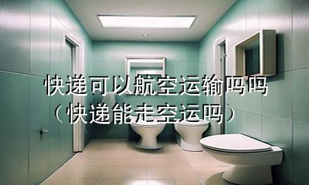 快递可以航空运输吗吗(快递能走空运吗)