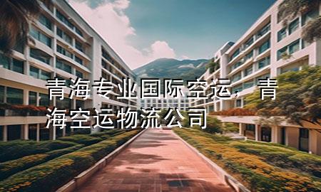 青海专业国际空运,青海空运物流公司