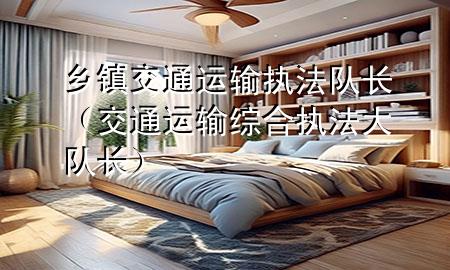 乡镇交通运输执法队长(交通运输综合执法大队长)