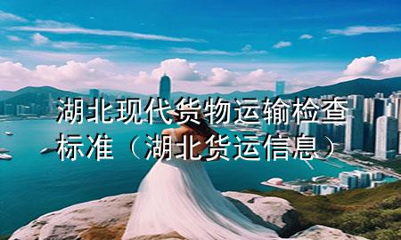 湖北现代货物运输检查标准(湖北货运信息)