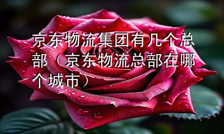 京东物流集团有几个总部(京东物流总部在哪个城市)