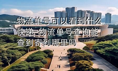 物流单号可以看到什么快递-物流单号查询能查到寄到哪里吗