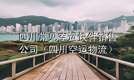 四川常见空运快件销售公司(四川空运物流)