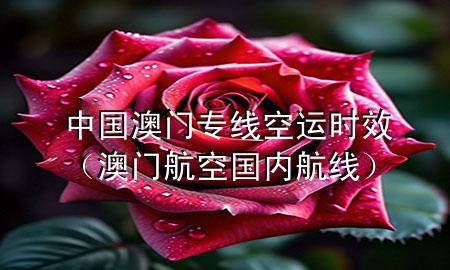 中国澳门专线空运时效（澳门航空国内航线）