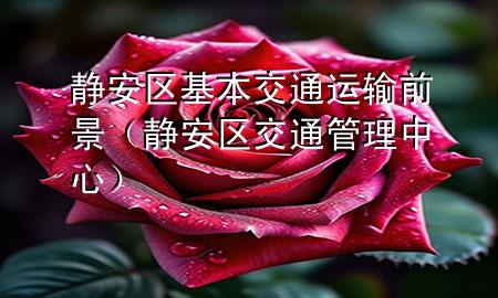 静安区基本交通运输前景(静安区交通管理中心)