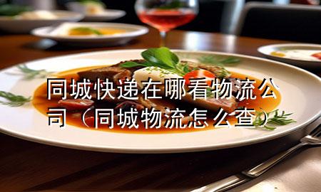 同城快递在哪看物流公司(同城物流怎么查)