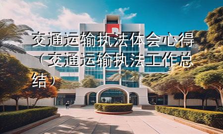 交通运输执法体会心得(交通运输执法工作总结)