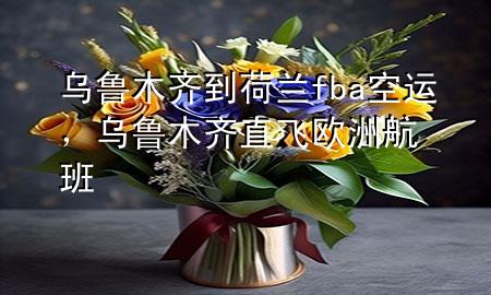 乌鲁木齐到荷兰fba空运,乌鲁木齐直飞欧洲航班