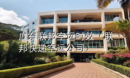 广东联邦空运时效(联邦快递空运公司)