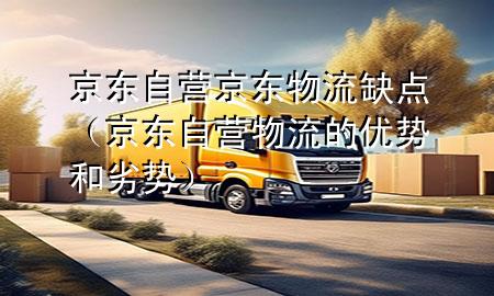 京东自营京东物流缺点(京东自营物流的优势和劣势)