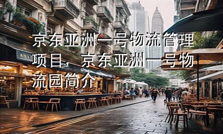 京东亚洲一号物流管理项目，京东亚洲一号物流园简介