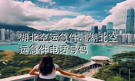 湖北空运急件,湖北空运急件电话号码