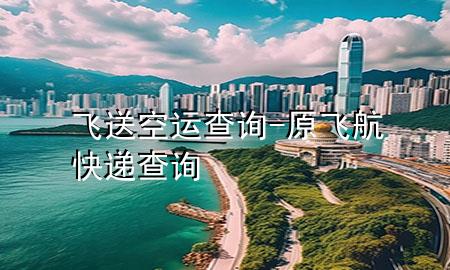 飞送空运查询-原飞航快递查询