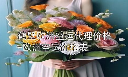 鹤壁欧洲空运代理价格-欧洲空运价格表