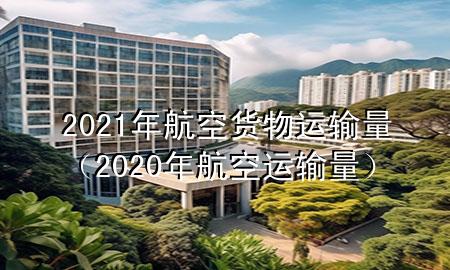 2021年航空货物运输量(2020年航空运输量)
