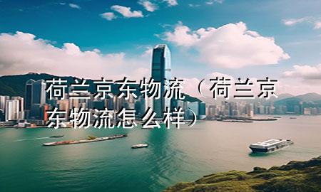 荷兰京东物流(荷兰京东物流怎么样)