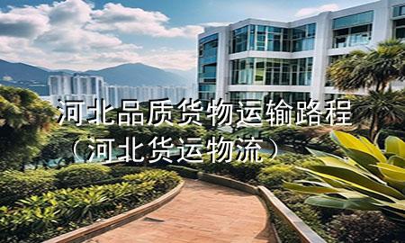河北品质货物运输路程(河北货运物流)