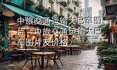 中旅交通运输大巴车图片（中旅交通运输大巴车图片及价格）