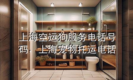 上海空运狗服务电话号码,上海宠物托运电话