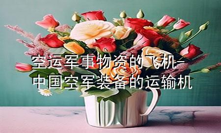 空运军事物资的飞机-中国空军装备的运输机