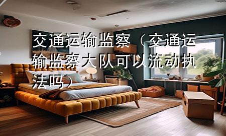 交通运输 监察（交通运输监察大队可以流动执法吗）