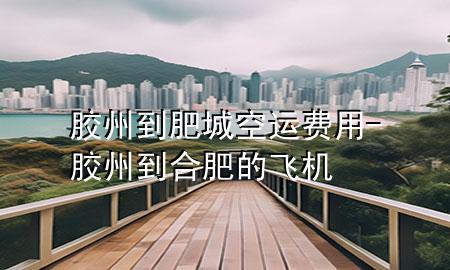 胶州到肥城空运费用-胶州到合肥的飞机