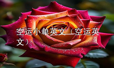 空运小单英文(空运 英文)