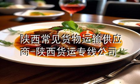 陕西常见货物运输供应商-陕西货运专线公司