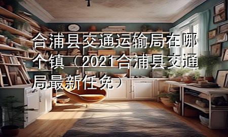 合浦县交通运输局在哪个镇（2021合浦县交通局最新任免）