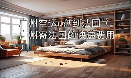 广州空运u盘到法国(广州寄法国的快递费用)