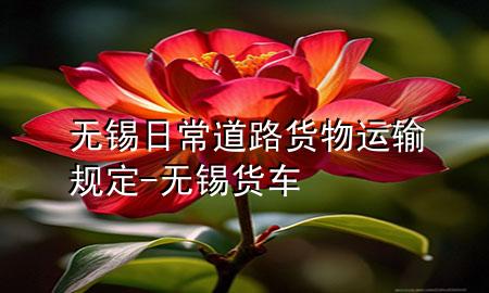 无锡日常道路货物运输规定-无锡货车