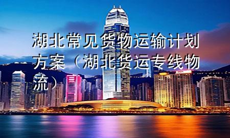 湖北常见货物运输计划方案(湖北货运专线物流)