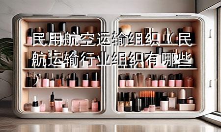 民用航空运输组织(民航运输行业组织有哪些)