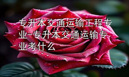 专升本交通运输工程专业-专升本交通运输专业考什么