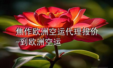 焦作欧洲空运代理报价-到欧洲空运