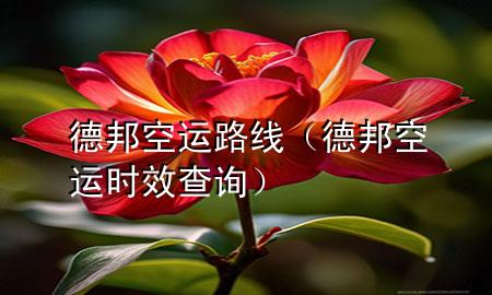 德邦空运路线(德邦空运时效查询)
