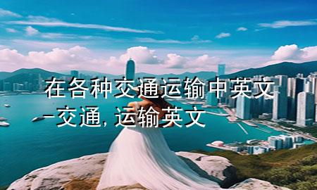 在各种交通运输中英文-交通,运输英文