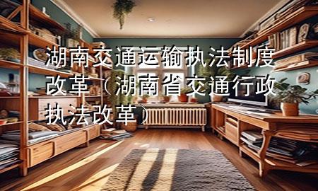 湖南交通运输执法制度改革（湖南省交通行政执法改革）