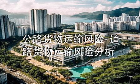 公路货物运输风险-道路货物运输风险分析