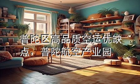 普陀区高品质空运优缺点,普陀航空产业园