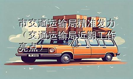 市交通运输局精准发力(交通运输局近期工作亮点)