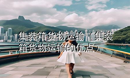 集装箱货物运输(集装箱货物运输的优点)