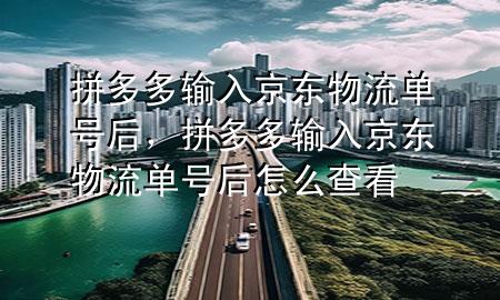 拼多多输入京东物流单号后,拼多多输入京东物流单号后怎么查看