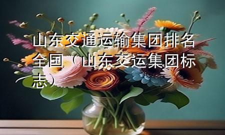山东交通运输集团排名全国（山东交运集团标志）