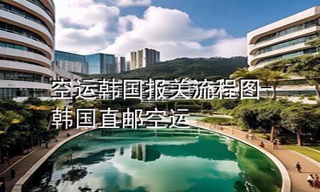 空运韩国报关流程图-韩国直邮空运