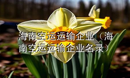海南空运运输企业(海南空运运输企业名录)