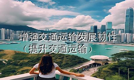 增强交通运输发展韧性(提升交通运输)