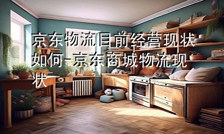 京东物流目前经营现状如何-京东商城物流现状