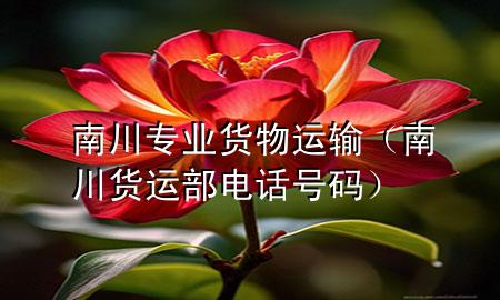 南川专业货物运输(南川货运部电话号码)