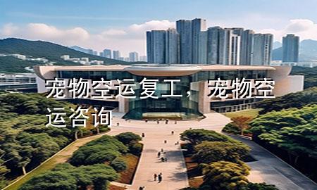 宠物空运复工,宠物空运咨询